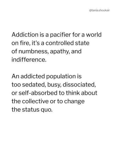 Thumbnail of t-nbimpy-582f54548b4b4210 9