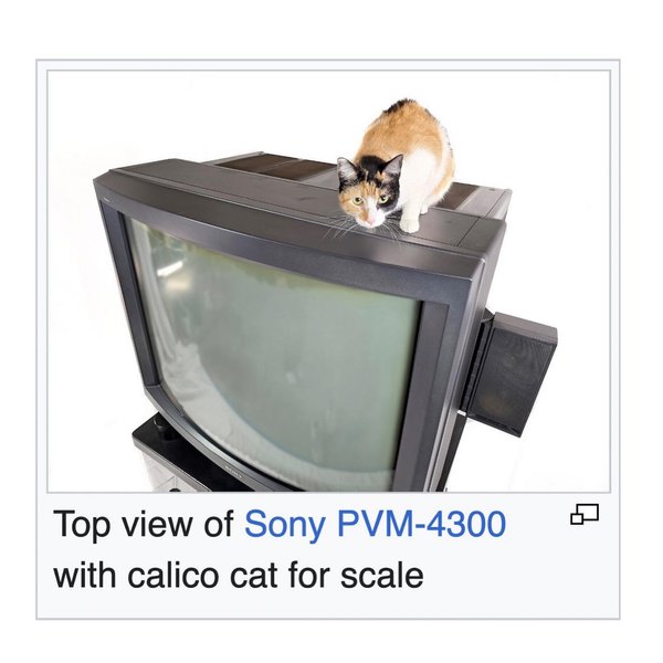 Thumbnail of p-dhnjzditiur-583f6714e4394048 0