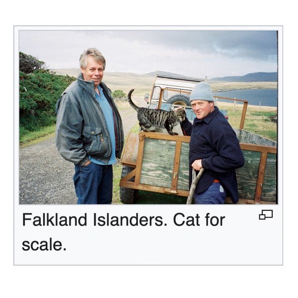 Thumbnail of p-dhnjzditiur-583f6714e4394048 1