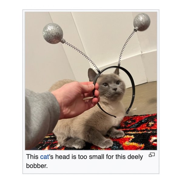 Thumbnail of p-dhnjzditiur-583f6714e4394048 4