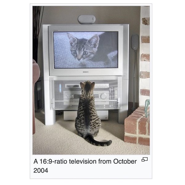 Thumbnail of p-dhnjzditiur-583f6714e4394048 5