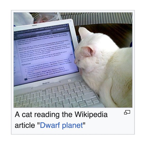 Thumbnail of p-dhnjzditiur-583f6714e4394048 6