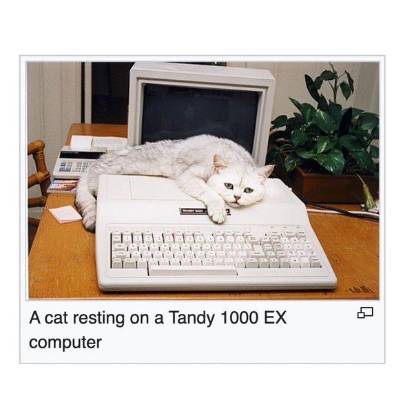 Thumbnail of p-dhnjzditiur-583f6714e4394048 7