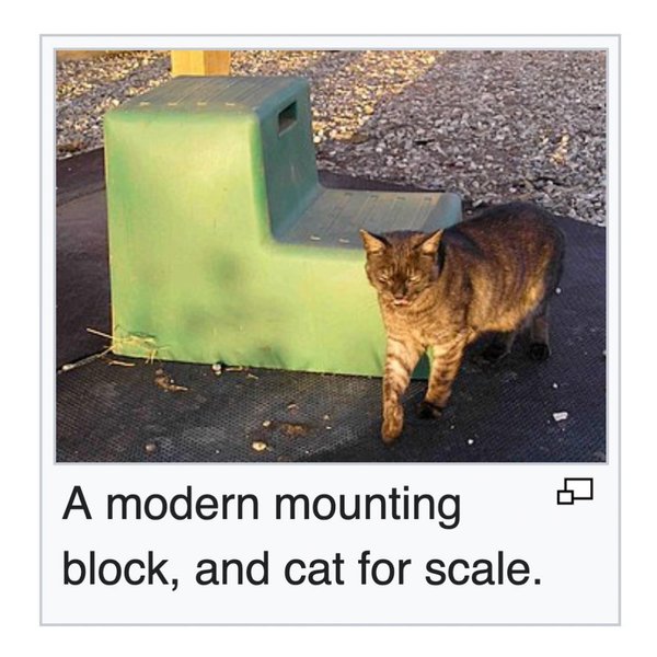 Thumbnail of p-dhnjzditiur-583f6714e4394048 8