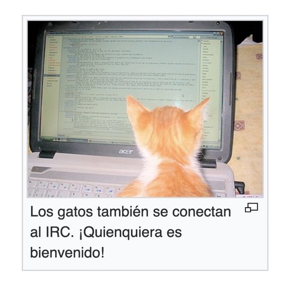 Thumbnail of p-dhnjzditiur-583f6714e4394048 9