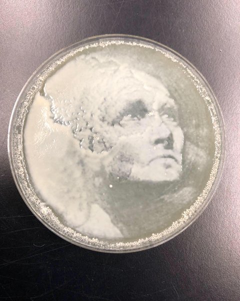 Thumbnail of p-clrv3rzninu-585102b9de204dbc 0
