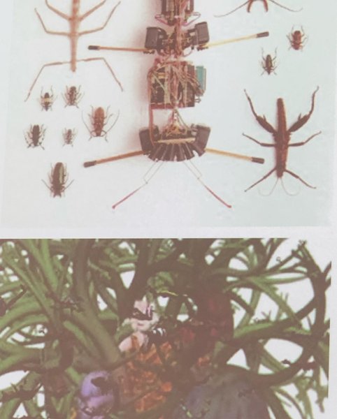 Thumbnail of p-clrv3rzninu-585102b9de204dbc 3