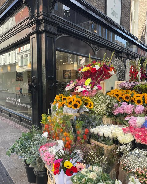 Thumbnail of p-cytqgnuihtu-5871d6b8a9a64854 4