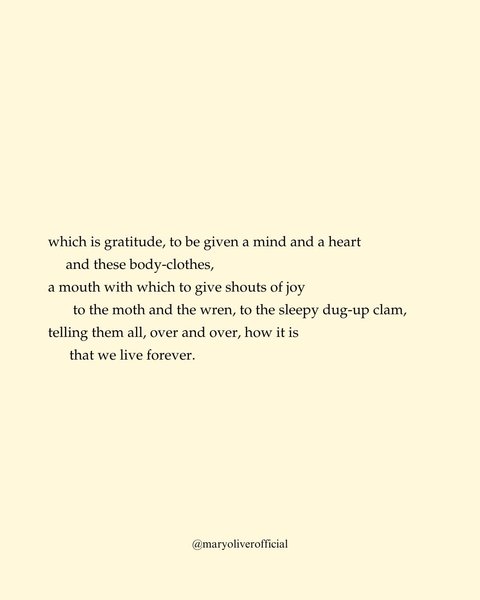 Thumbnail of instagram-587d37a67eb24054 1