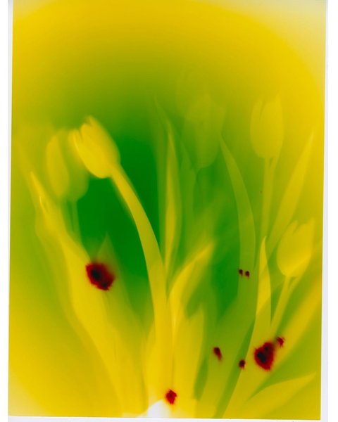 Thumbnail of p-b99zzdbfmdd-589b4eec0e5a4101 0