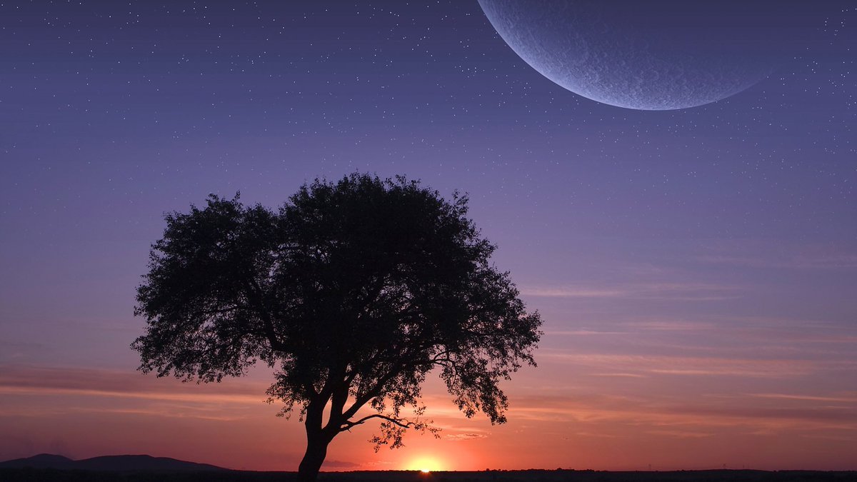 Thumbnail of www-x-com-bornlik23266-status-1890515817055318133-58ca508aff604655