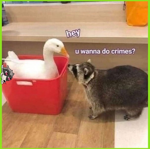 Thumbnail of p-cck3xcyrpfw-58e633ab4ea044a1 0