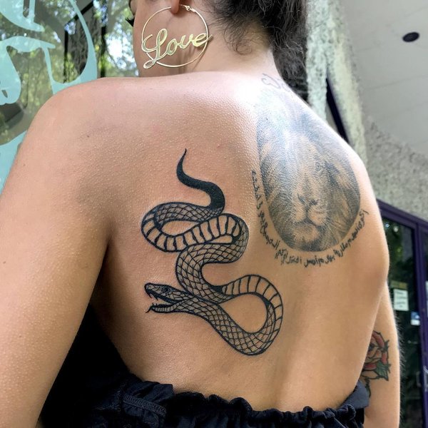 Thumbnail of p-bppddalnh8p-591150e85c704e10 0