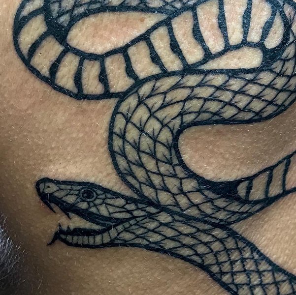 Thumbnail of p-bppddalnh8p-591150e85c704e10 1