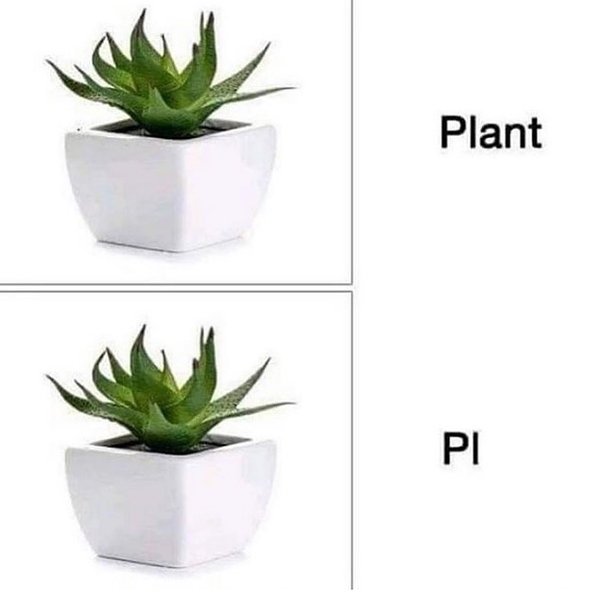 Thumbnail of p-b5nseexffqv-59197c61b49f4356 0