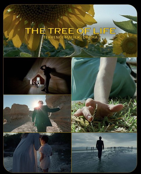 Thumbnail of p-csypggnos5o-591dbf28a74846d0 1