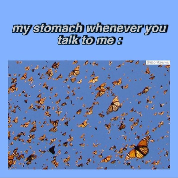 Thumbnail of p-b1vr8drfv6t-592193e1a4dc49bd 0