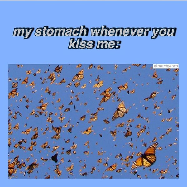 Thumbnail of p-b1vr8drfv6t-592193e1a4dc49bd 1