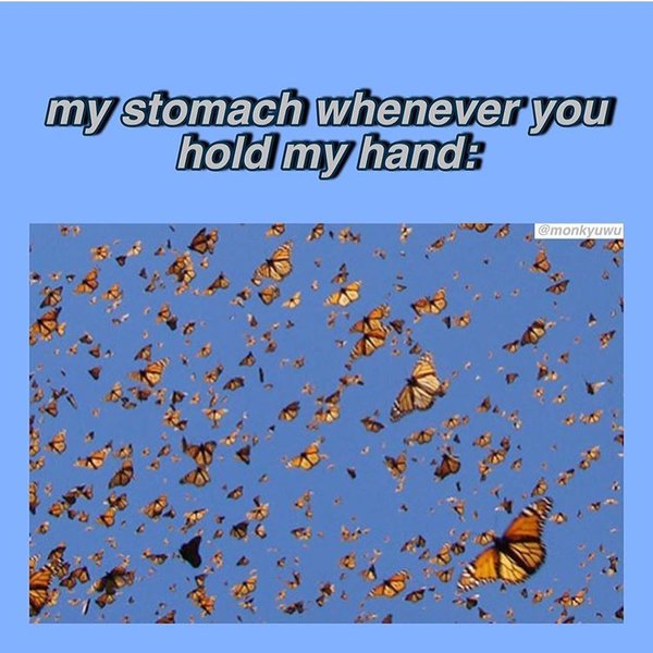 Thumbnail of p-b1vr8drfv6t-592193e1a4dc49bd 2