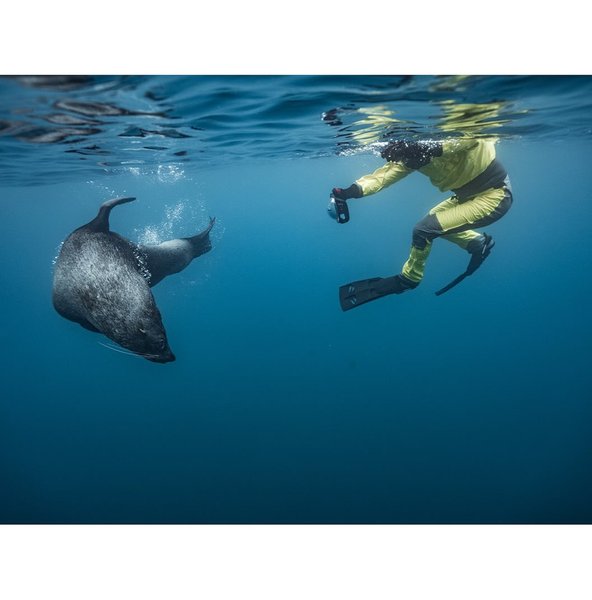 Thumbnail of p-czkkugexyn3-599a41ac7ced4055 4