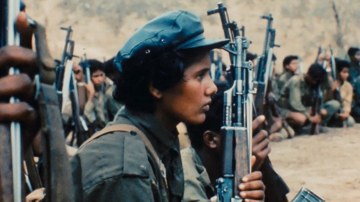 Thumbnail of www-x-com-pompoarismo02-status-1961425913066795287-59b6cc09d20c401a