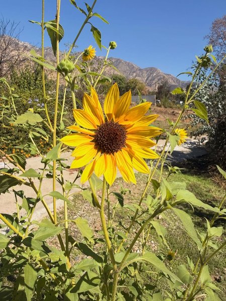 Thumbnail of www-instagram-com-p-dqnmjl8etzf-img-index-6 2