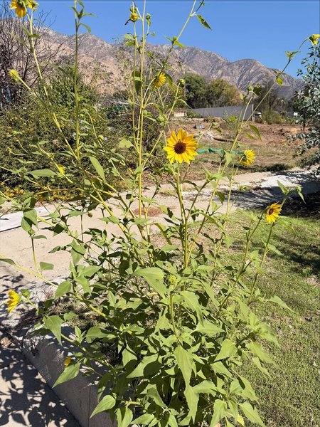 Thumbnail of www-instagram-com-p-dqnmjl8etzf-img-index-6 5