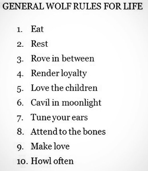 Thumbnail of p-bfrupgadps9-59bf563abd084751 0