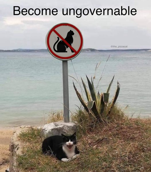 Thumbnail of c8apr-mpmal-59ce2310529047a9 0