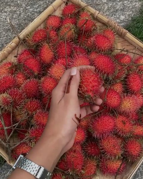 Thumbnail of p-crs34tzgyt-59d11e45e19f4274 4