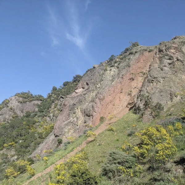 Thumbnail of cdof-wfqx5-5a1ca341fcda4dad 1