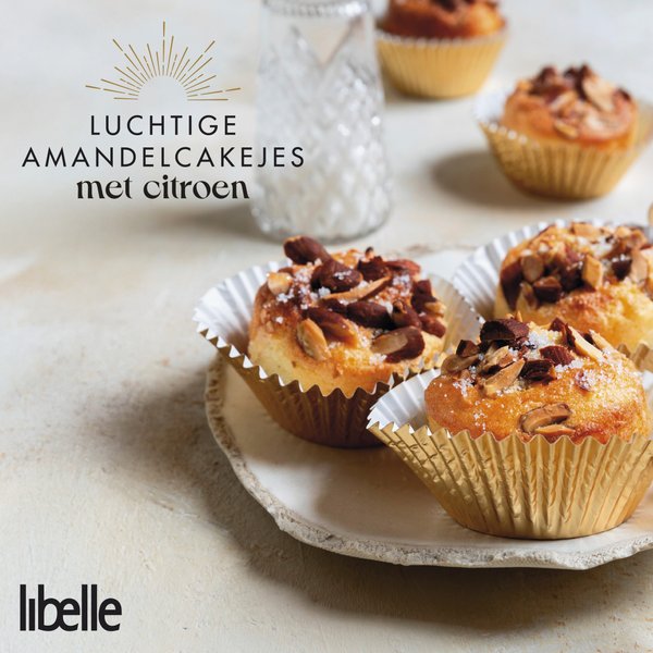 Thumbnail of p-ddedgnkpm7w-5a2e9f4d2bd142a8 0