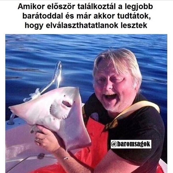 Thumbnail of p-bo62h9tlar-5a9ac261ef8e4e78 1