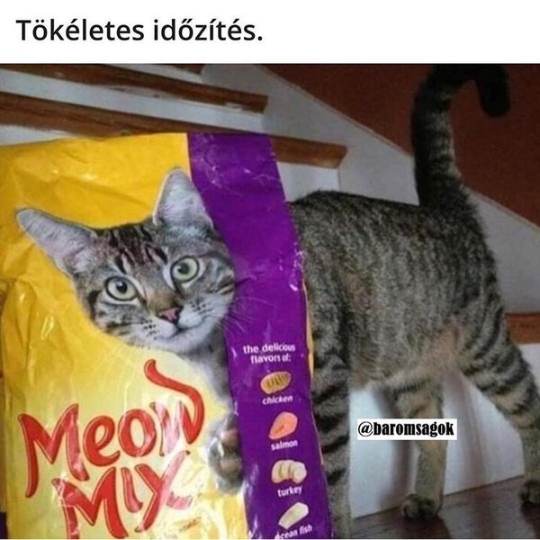 Thumbnail of p-bo62h9tlar-5a9ac261ef8e4e78 3