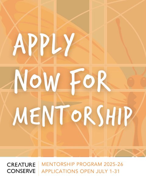 Thumbnail of p-dlkosznofd1-5aacc7f18bd24c35 0