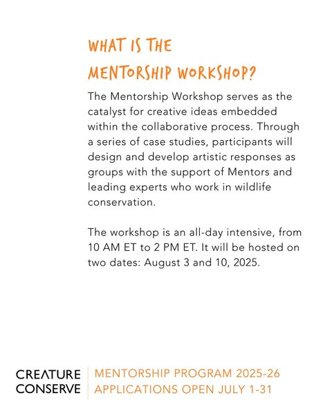 Thumbnail of p-dlkosznofd1-5aacc7f18bd24c35 4