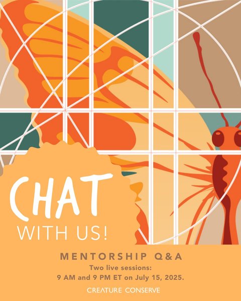 Thumbnail of p-dlkosznofd1-5aacc7f18bd24c35 6