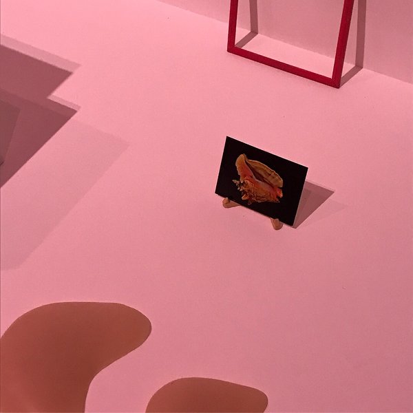 Thumbnail of p-bkbsxillpe0-5ac7bf314c834bc6 0