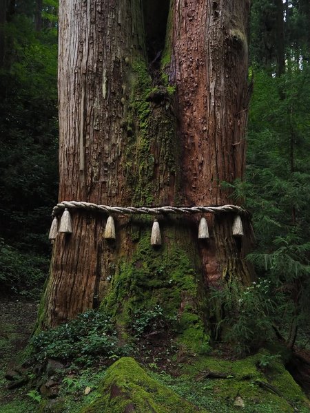 Thumbnail of www-instagram-com-p-dq-xgelaykb-img-index-4 0