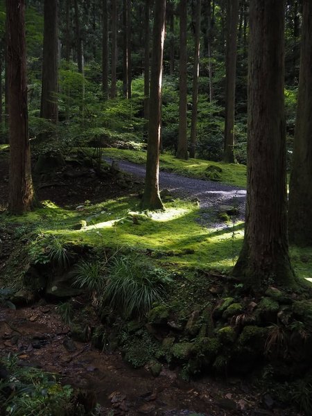 Thumbnail of www-instagram-com-p-dq-xgelaykb-img-index-4 1