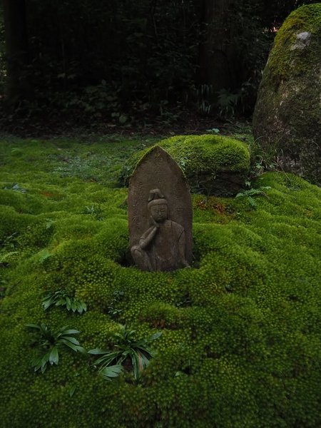 Thumbnail of www-instagram-com-p-dq-xgelaykb-img-index-4 2