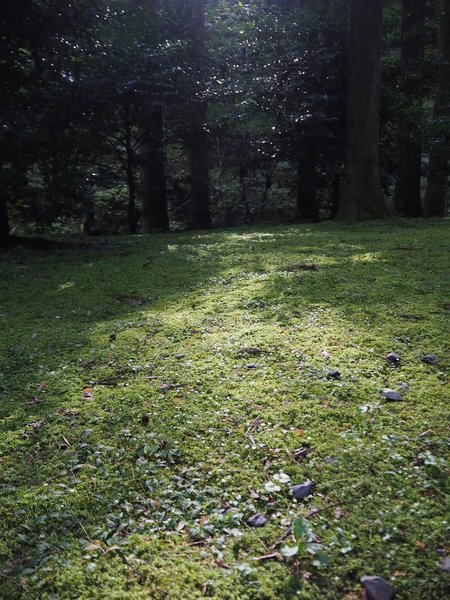 Thumbnail of www-instagram-com-p-dq-xgelaykb-img-index-4 3