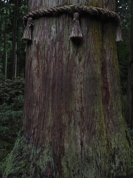 Thumbnail of www-instagram-com-p-dq-xgelaykb-img-index-4 4