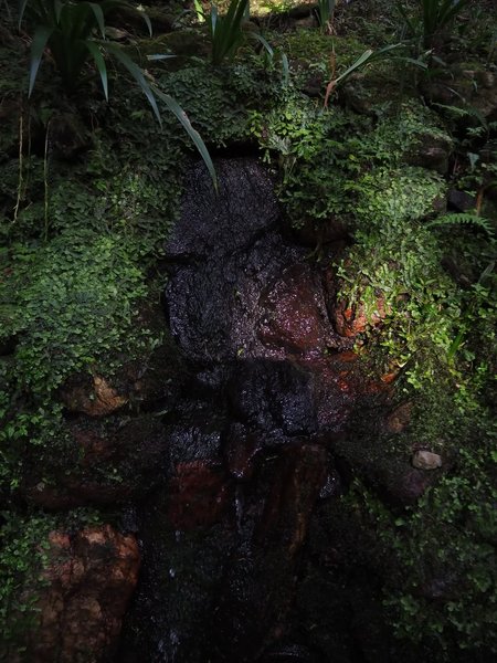 Thumbnail of www-instagram-com-p-dq-xgelaykb-img-index-4 5