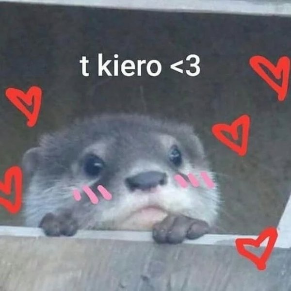 Thumbnail of p-cbjsc5jsrzl-5ad55fd47f9849bc 0