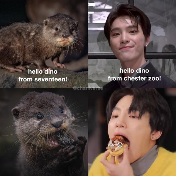 Thumbnail of p-canuo5xhpx2-5afab382f9454bec 3