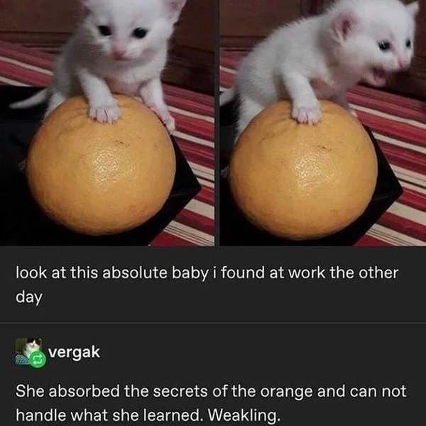 Thumbnail of p-cape0aufs91-5b26a4534cee4527 0