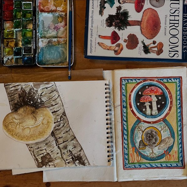 Thumbnail of p-ddufiduieth-5b4467ecae7540c1 1