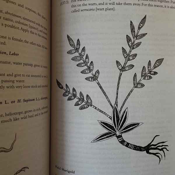 Thumbnail of p-ddufiduieth-5b4467ecae7540c1 3