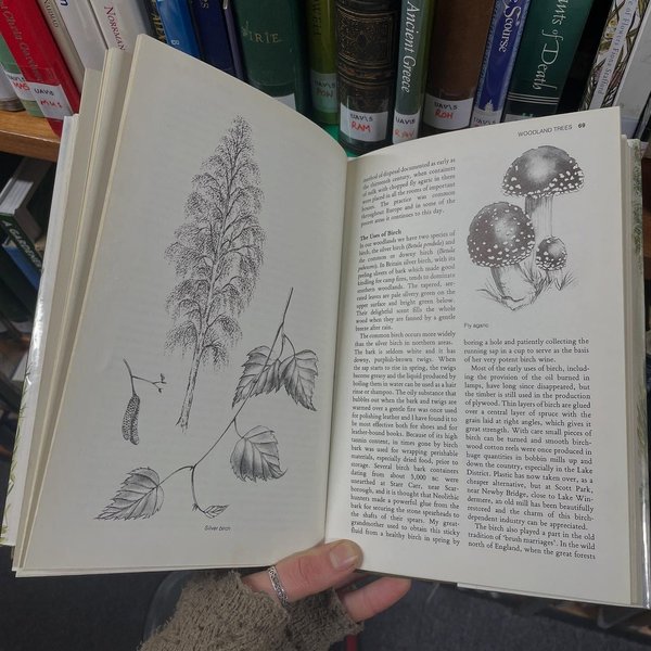 Thumbnail of p-ddufiduieth-5b4467ecae7540c1 7